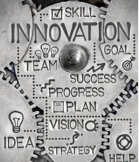 Innovation, skills and project success