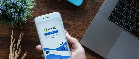Shopify Web Development